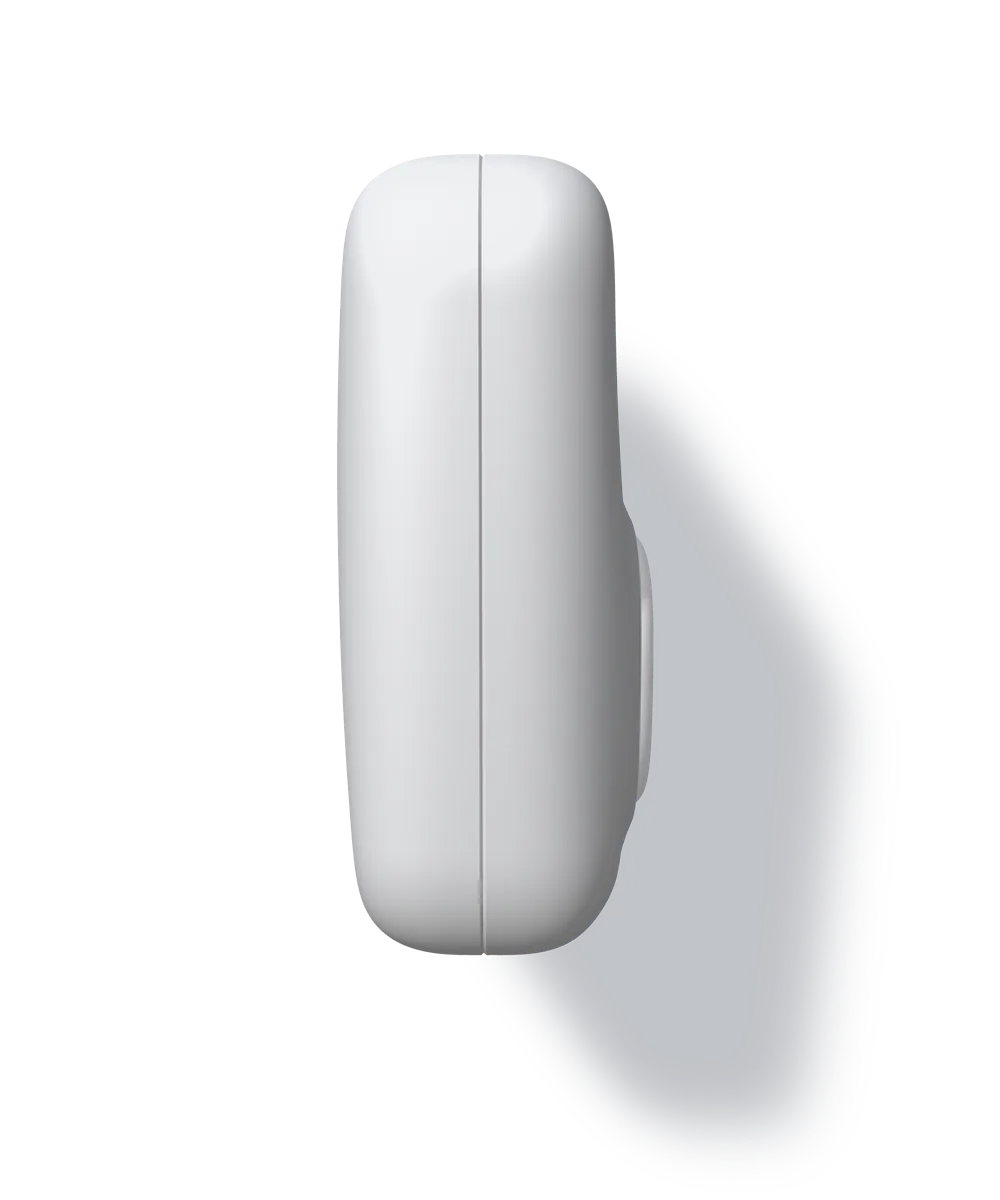 Turned a quarter, the flank toward the viewer